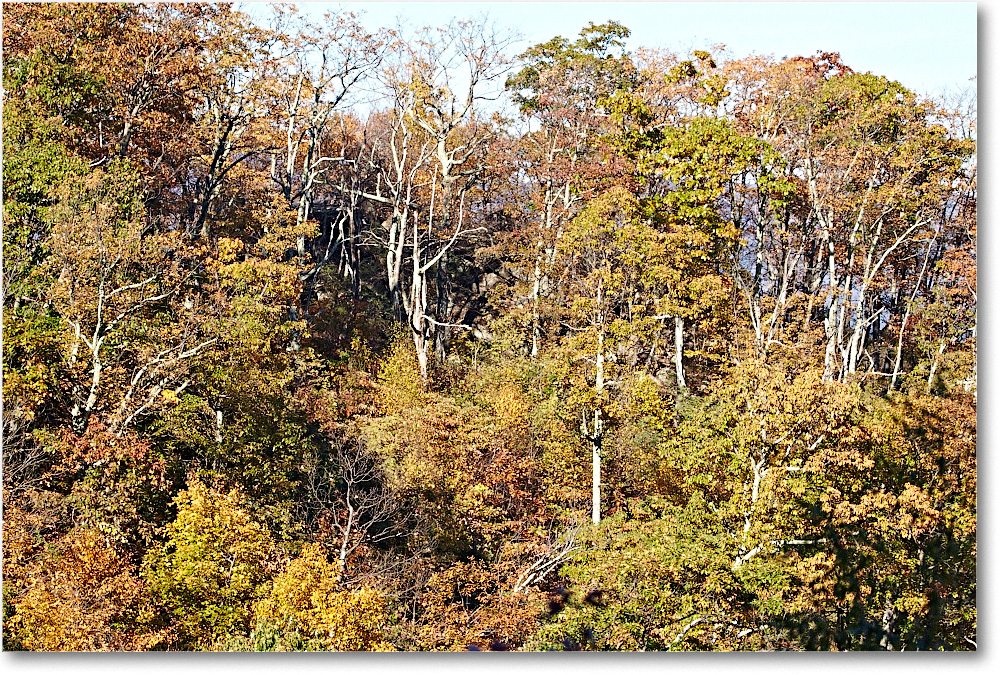 TunnelOL_SkylineDrive_2015Oct_D5A1655 copy