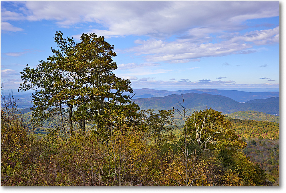 055-ThePointOverlook_SkylineDrive_2021Oct_R5B05829 copy