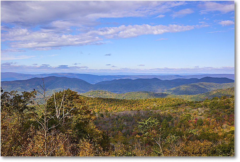 055-ThePointOverlook_SkylineDrive_2021Oct_R5B05834 copy