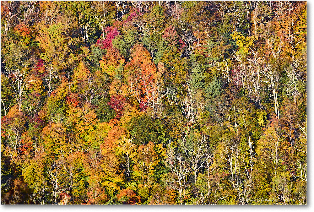 FranklinCliffsOverlook_SkylineDrive_2024Oct_R5A24729