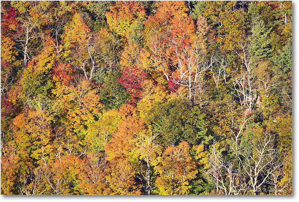 FranklinCliffsOverlook_SkylineDrive_2024Oct_R5A24730