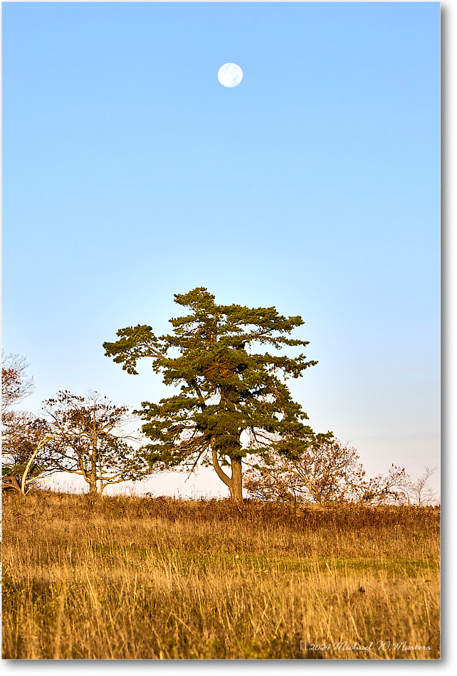 MoonSet_BigMeadows_2024Oct_R5B30832_HDR