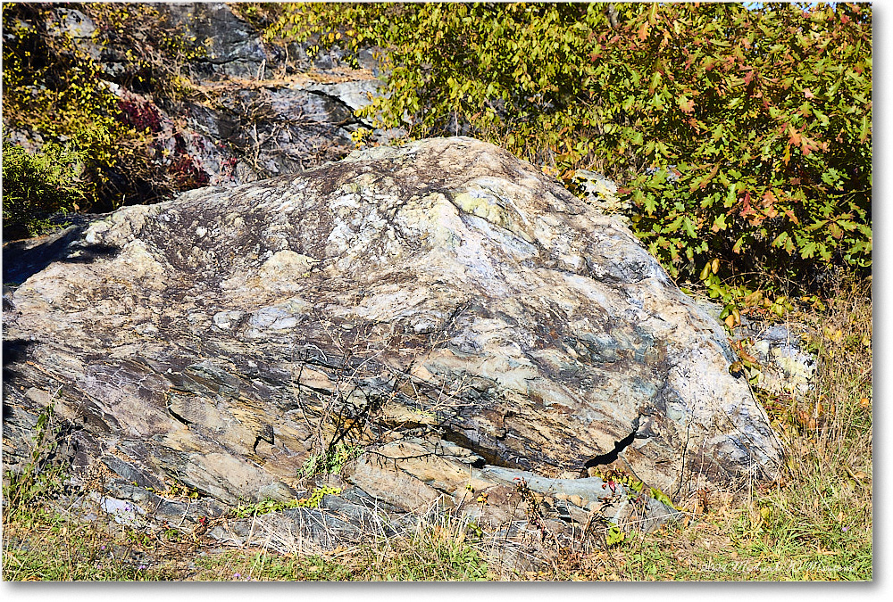 TwoMileRunRockOutcrop_SkylineDrive_2024Oct_R5A24708