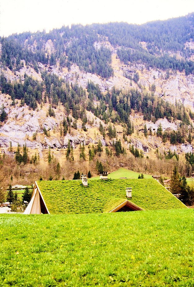 GrindelwaldRegion-Switzerland-1997Apr-ek17