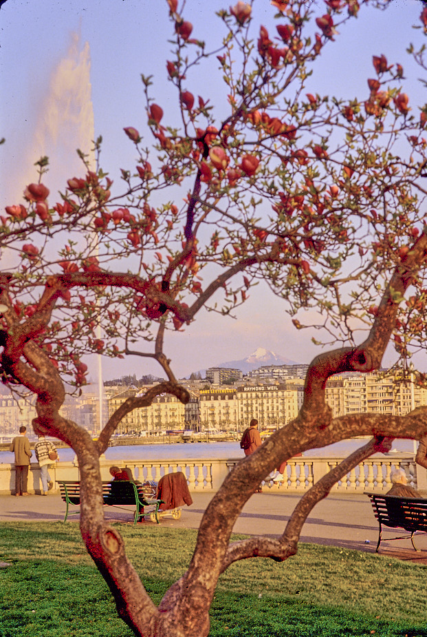 Waterfront-GenevaSwitzerland-1997Apr-ek4