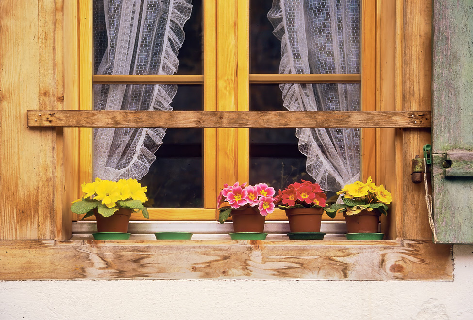 WindowFlowers-GrindelwaldSwitzerland-1997Apr-ek36_1