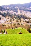 GrindelwaldRegion-Switzerland-1997Apr-ek17
