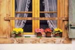 WindowFlowers-GrindelwaldSwitzerland-1997Apr-ek36_1
