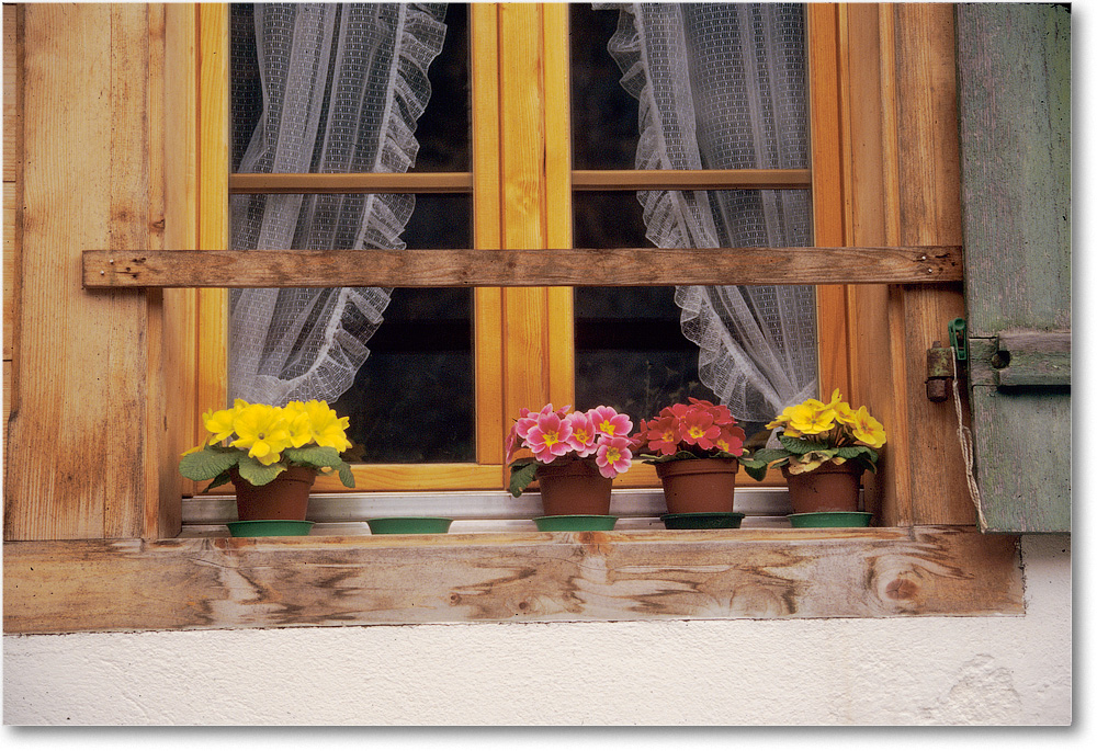 WindowFlowers-GrindelwaldSwitzerland-1997Apr-ek36 copy