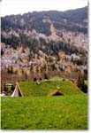 GrindelwaldRegion-Switzerland-1997Apr-ek17 copy