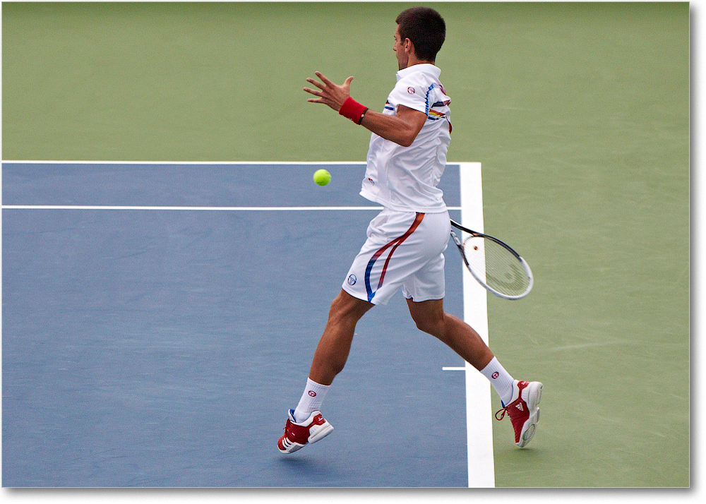 Djokovic (d Stepanek R16) Cincy11_D4A8574 copy