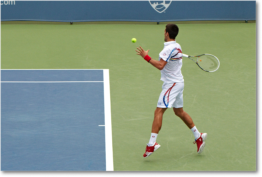 Djokovic (d Stepanek R16) Cincy11_D4A8659 copy