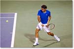 Federer (d Del Potro R32) Cincy11_D4A6844 copy