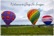 PhotoArt-BalloonFestival3