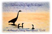 PhotoArt-EgretCormorantSilhouette