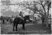 PhotoArt-HorseShowBW