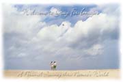 PhotoArt-KiteSkyKittyHawk