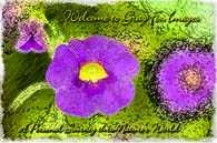 PhotoArt-MorningGlory