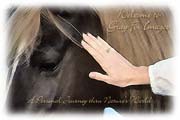 PhotoArt-Pony&Hand