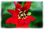 PhotoArt-RedFlower